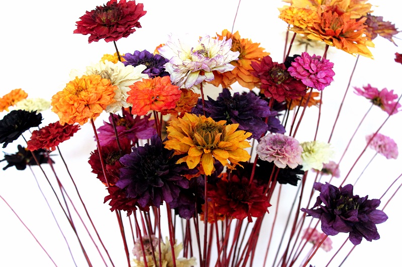 Sušené dálie extra 10 kusov